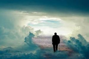 La vie après la vie